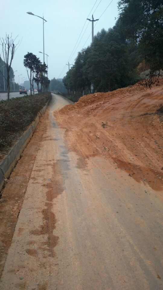 快速通道至新场路段！