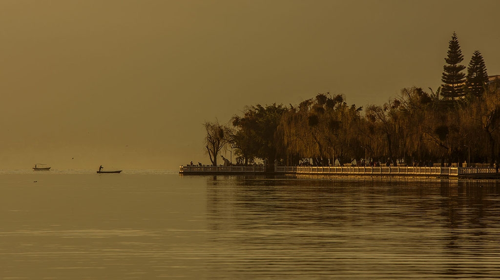 DSC_9390.jpg