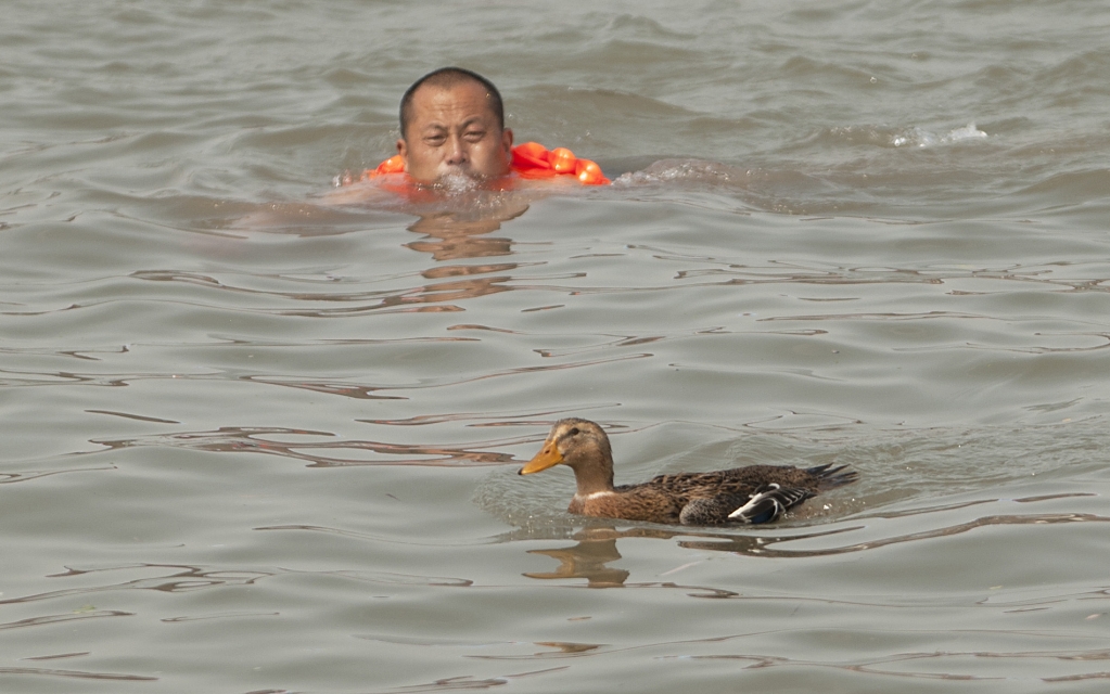 13鳄鱼捕食.jpg
