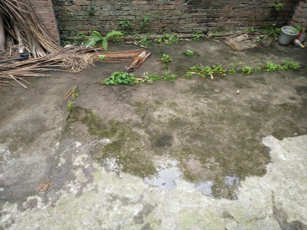 322557098.jpg