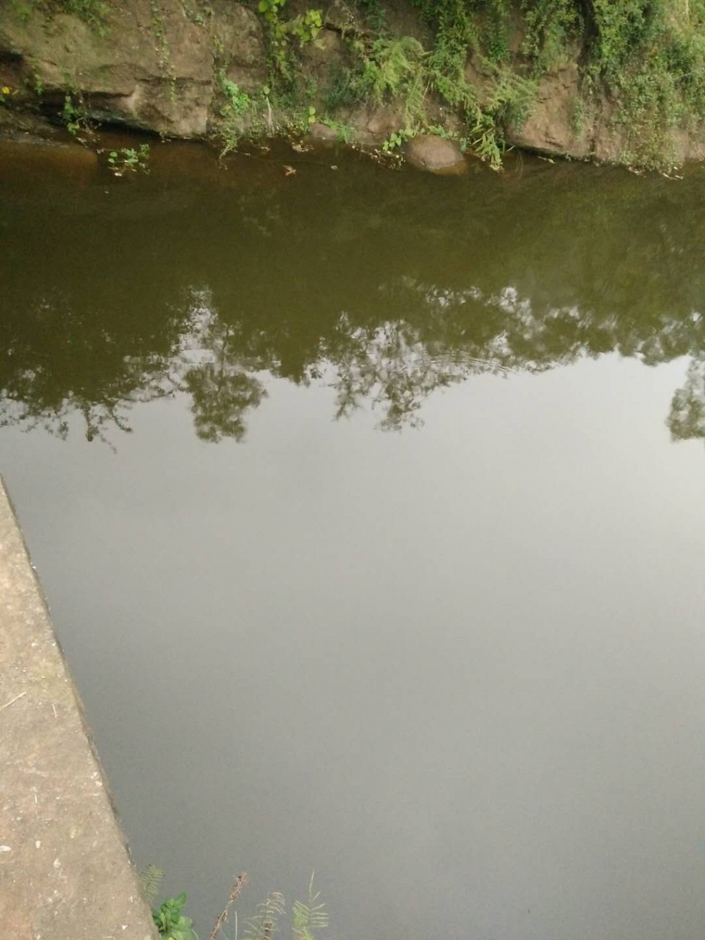 1774100490.jpg
