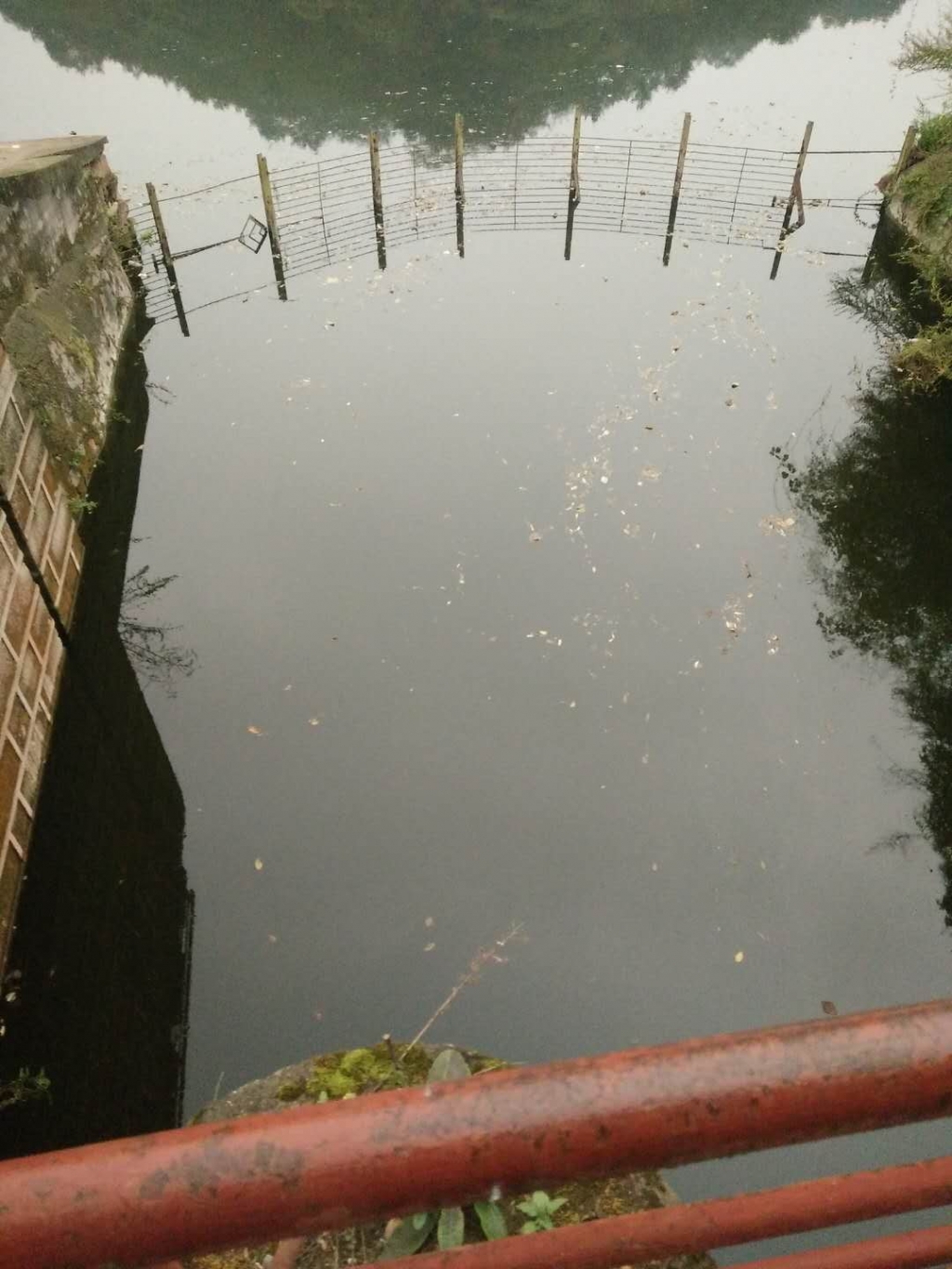 334084547.jpg