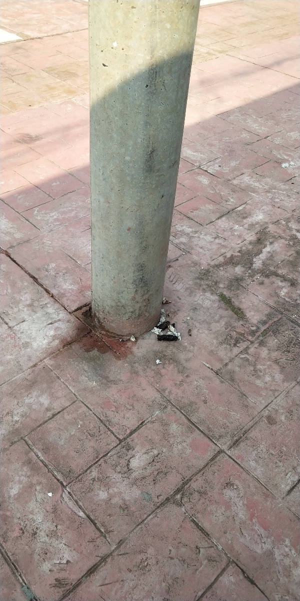 222511yojbpnlqxnx6opbj.jpg