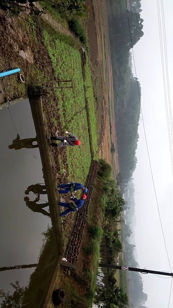 140553pbqprwivpbr3lw3b.jpg