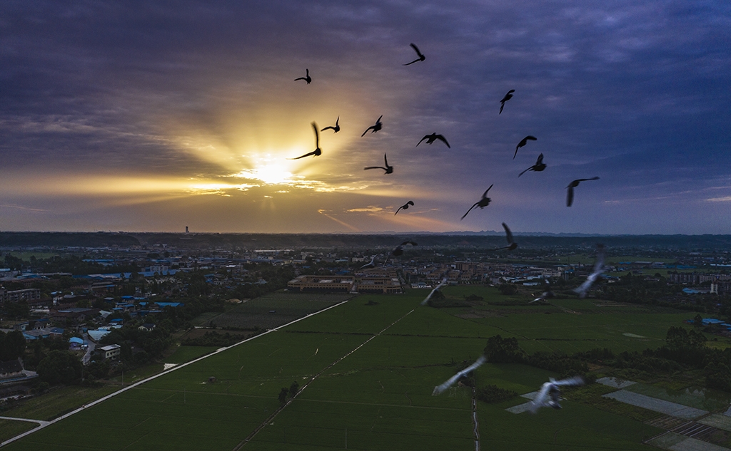 DJI_0450副本3.jpg