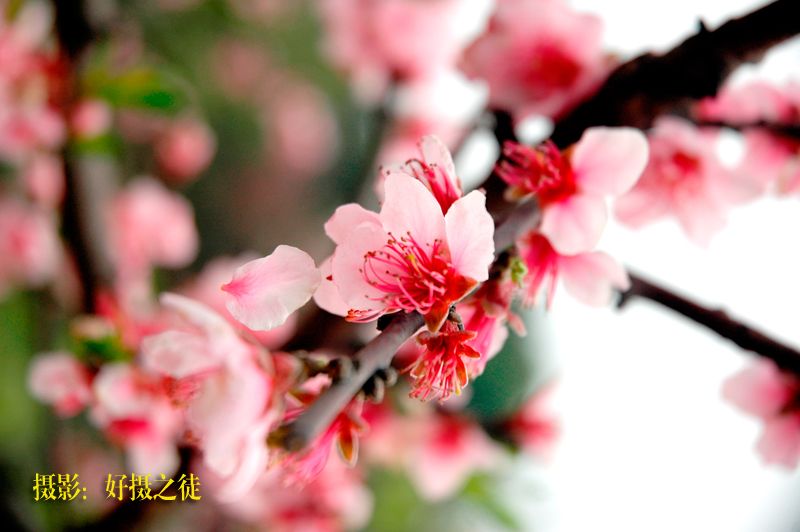 DSC_4324副本.jpg