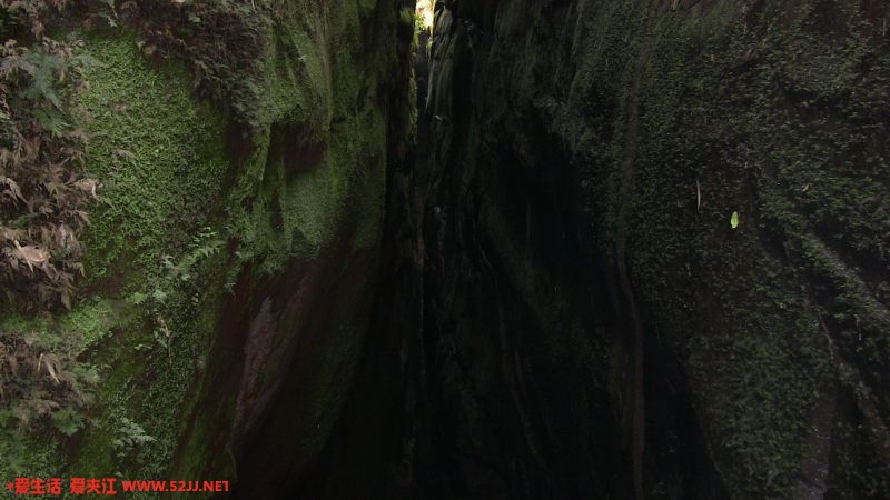 IMG_0347.JPG