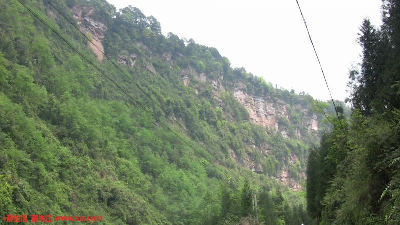 IMG_0379.JPG
