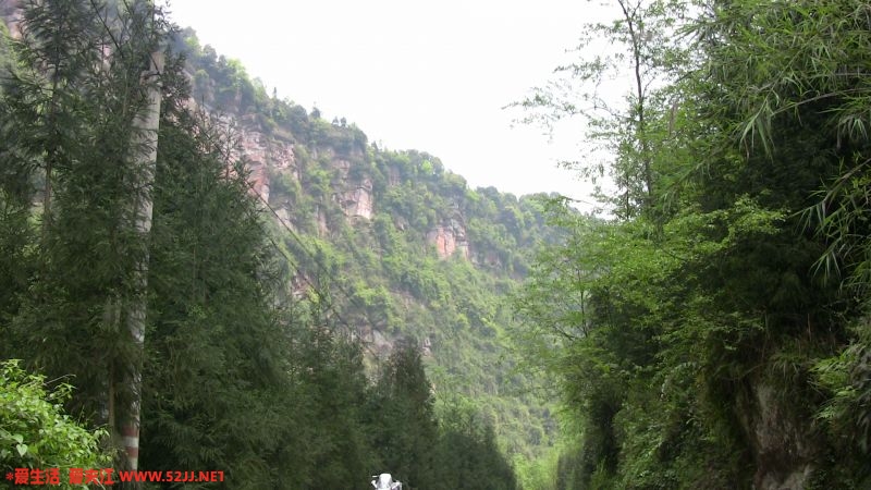 IMG_0381.JPG