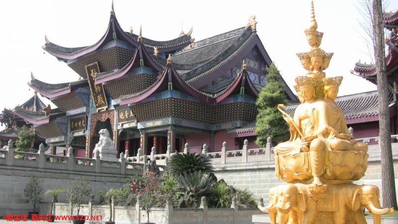 修得好大哦