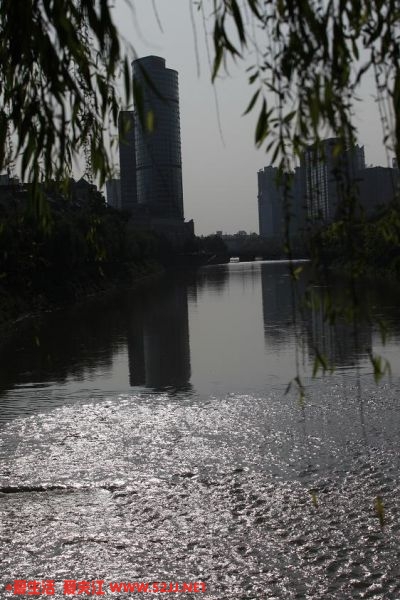 南河日暮-居然有紫边…….JPG