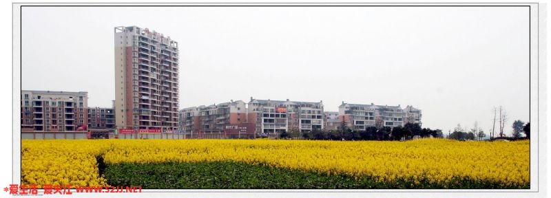 复件 IMG_6608 副本.jpg