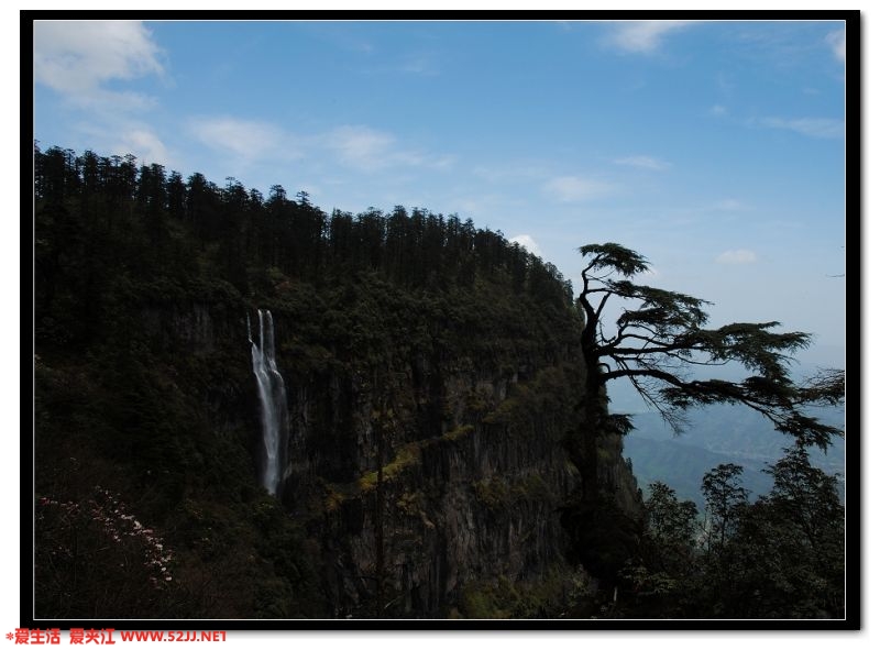 DSC_7185.jpg
