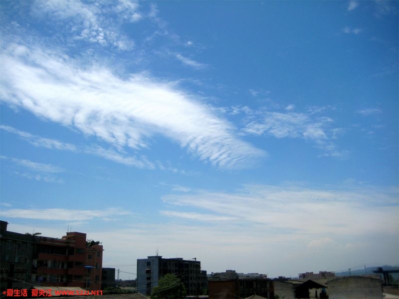 IMG_6688.jpg