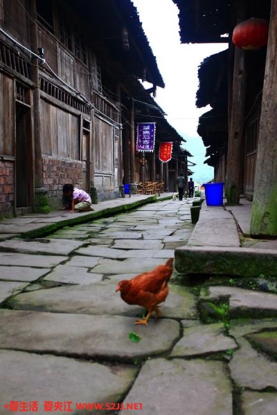 平常人家.JPG