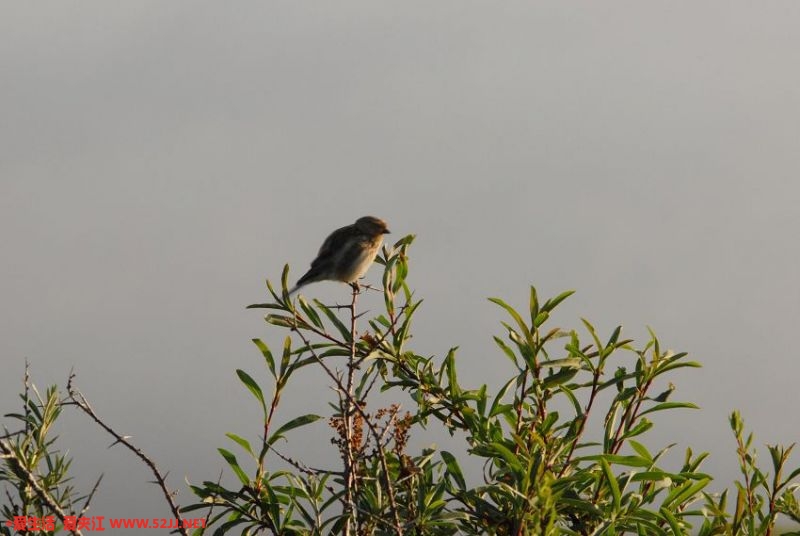 DSC_0223_nEO_IMG.jpg