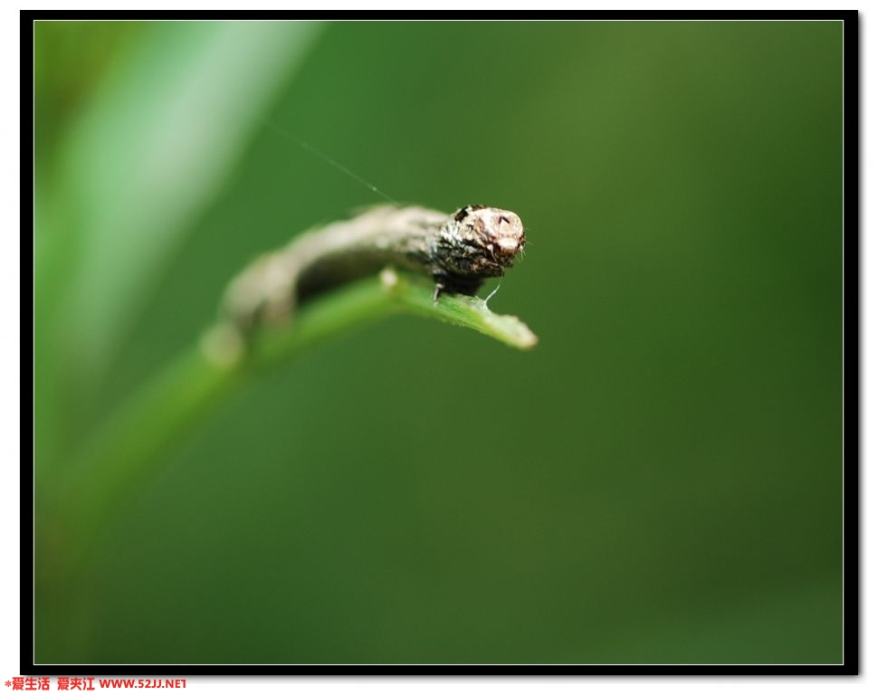 DSC_8740.jpg