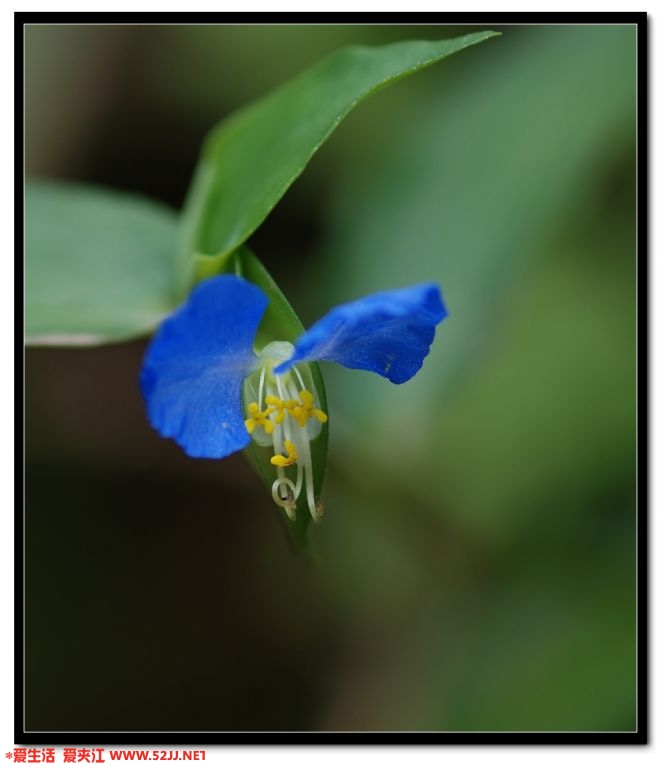 DSC_8803.jpg