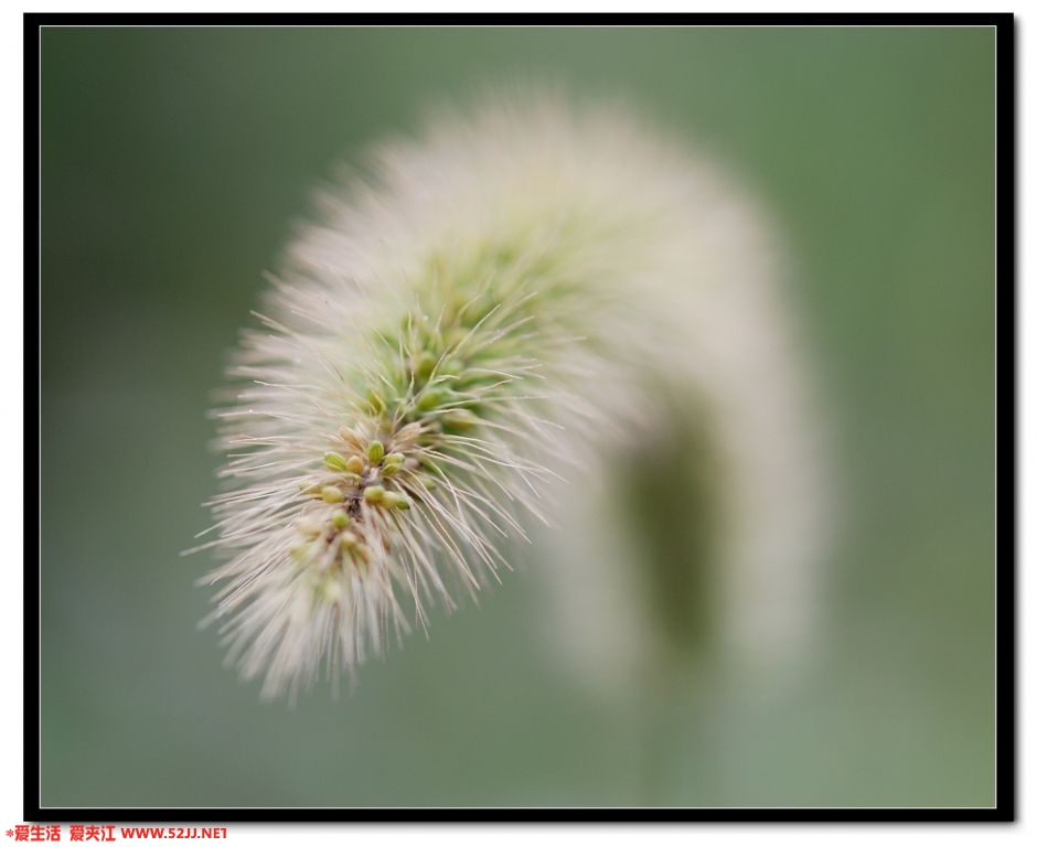 DSC_8887.jpg