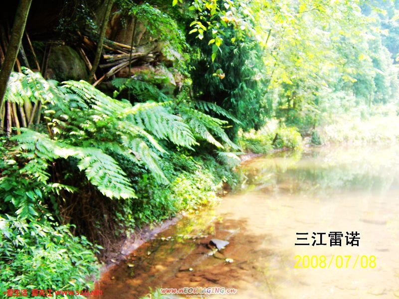 照片1 015.jpg