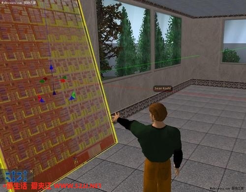 11.jpg