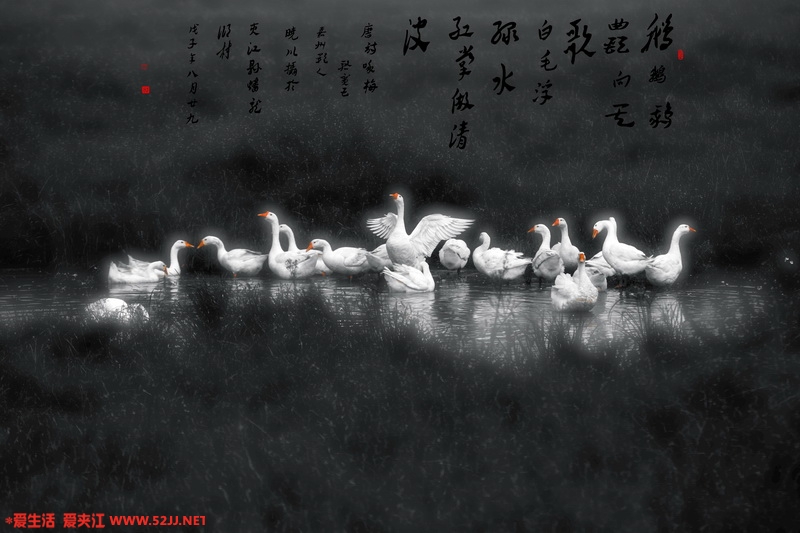 鹅趣图_缩小大小.jpg