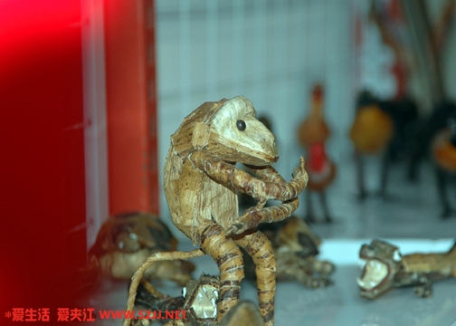 这个应该是泰国参展的哈