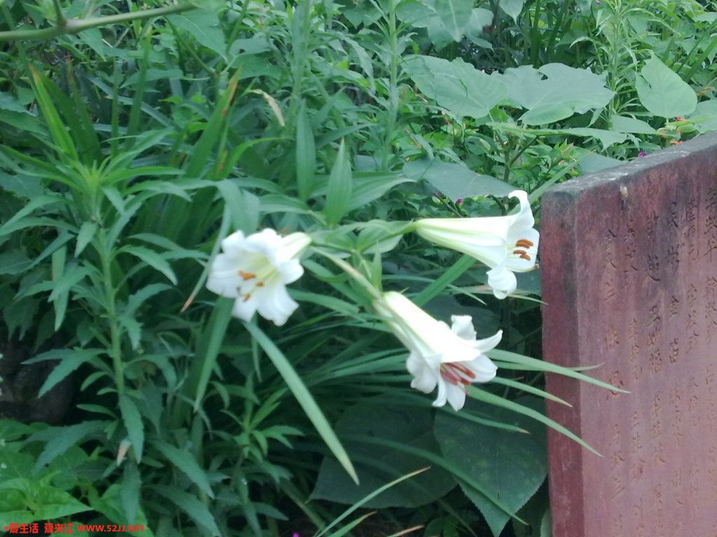 06212009040.jpg