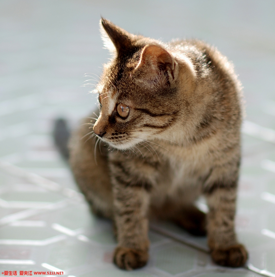 DSC_1017p.jpg