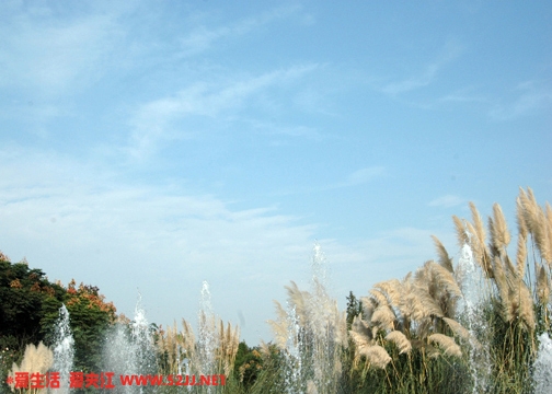 DSC_0178.JPG