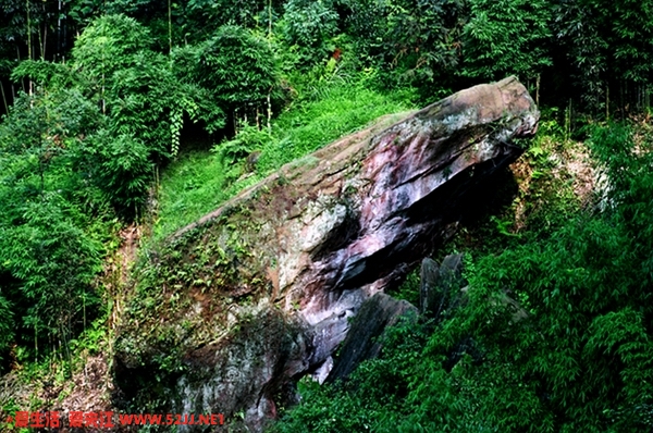 1119954354.jpg