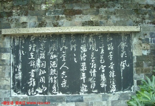 沈园.jpg