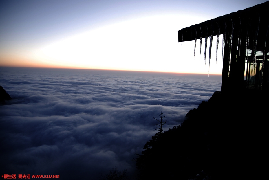 DSC_7380.JPG