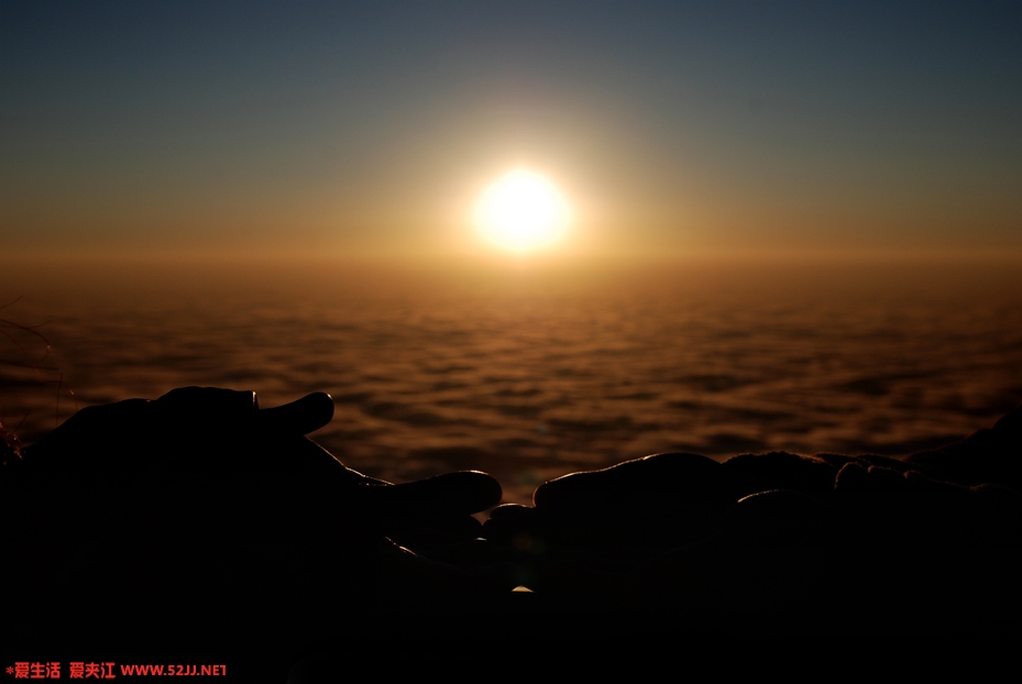 DSC_7410.JPG