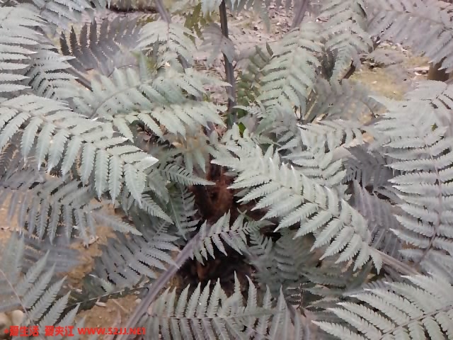 100117_173031.jpg