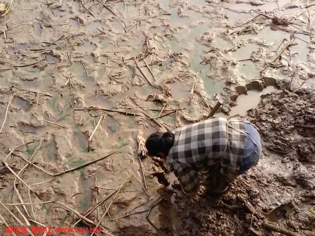 100129_100645.jpg
