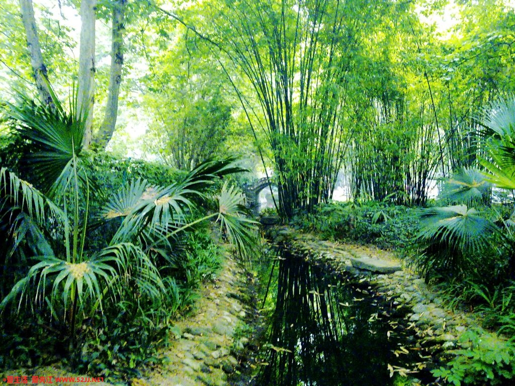 20090527207.jpg