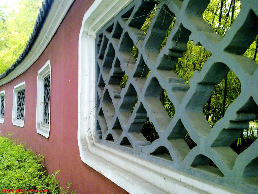 20090527219.jpg