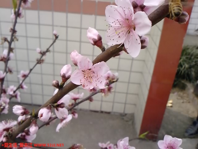100313_122254.jpg