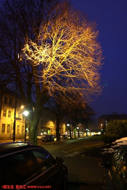 IMG_5944_2.JPG