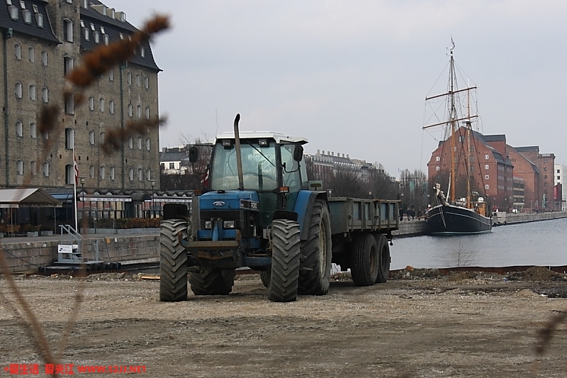 IMG_6162_m.JPG