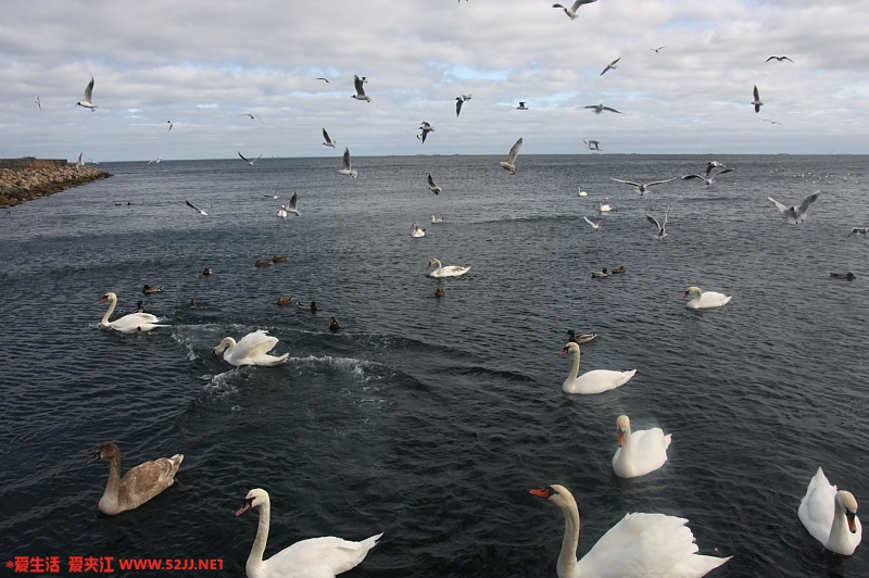 IMG_6738_2.JPG