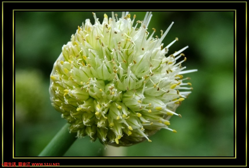 DSCF1380.jpg