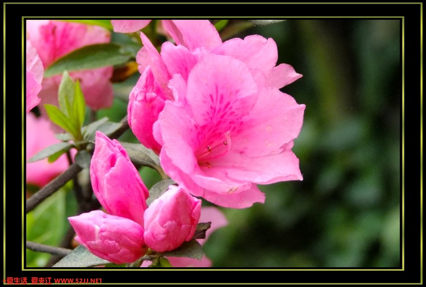 DSCF1375.jpg