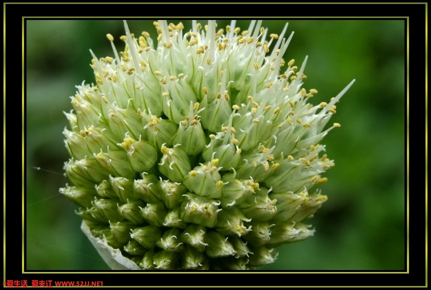 DSCF1381.jpg