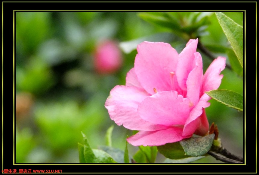 DSCF1376.jpg