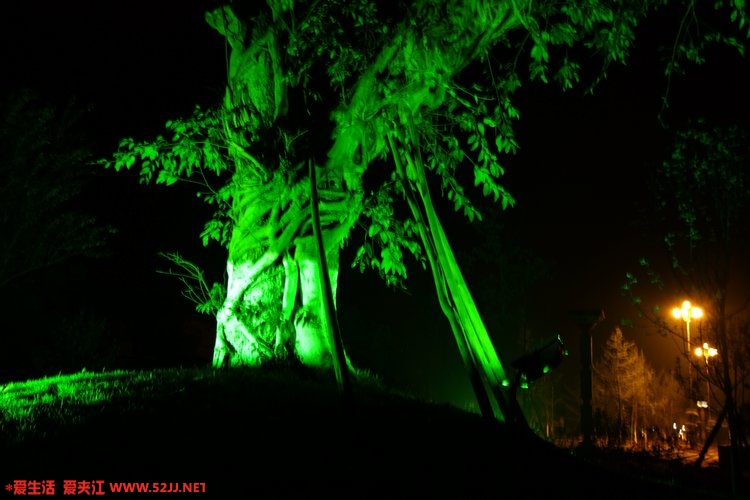 DSCF1413.jpg