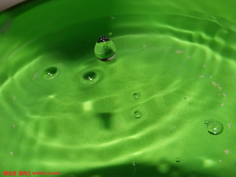 DSCF1365.jpg