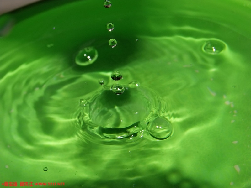 DSCF1362.jpg