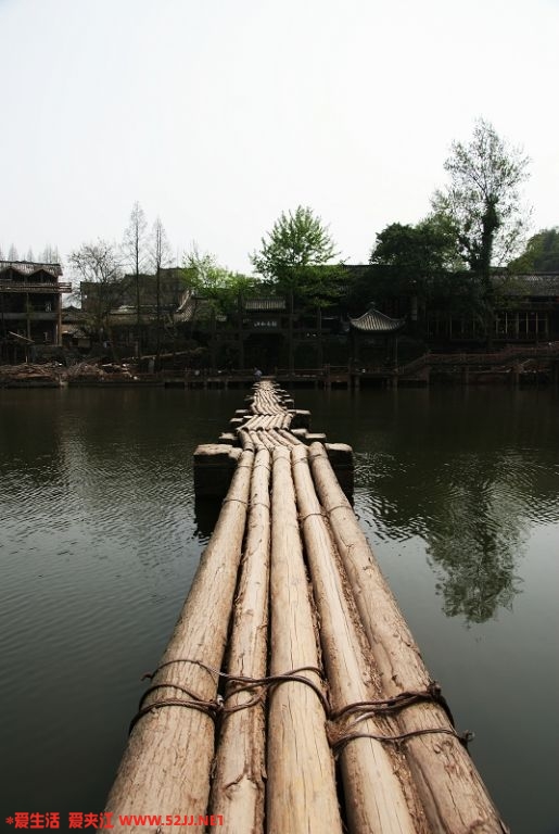 DSC09138.JPG